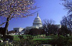 Wash_DC08.jpg