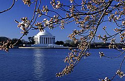 Wash_DC10.jpg