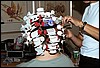 Hcams35.jpg