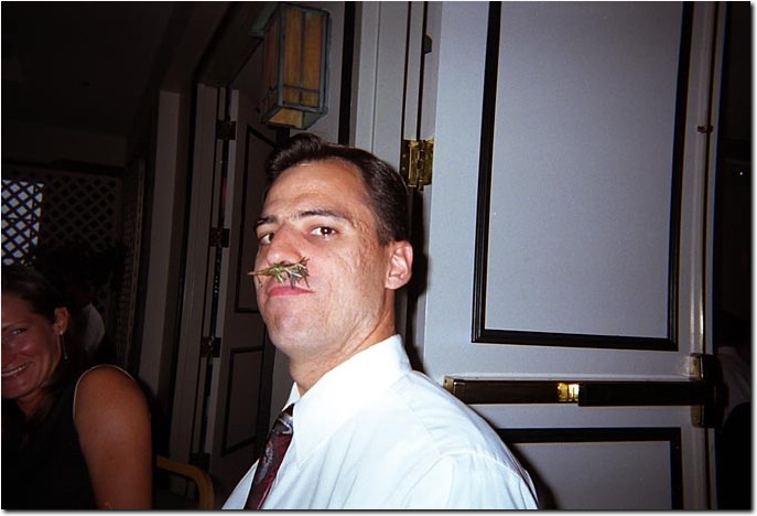 Tcam027.jpg