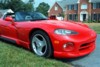 vipers5.jpg