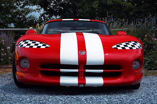 vipers4.jpg