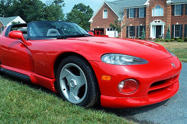 vipers5.jpg