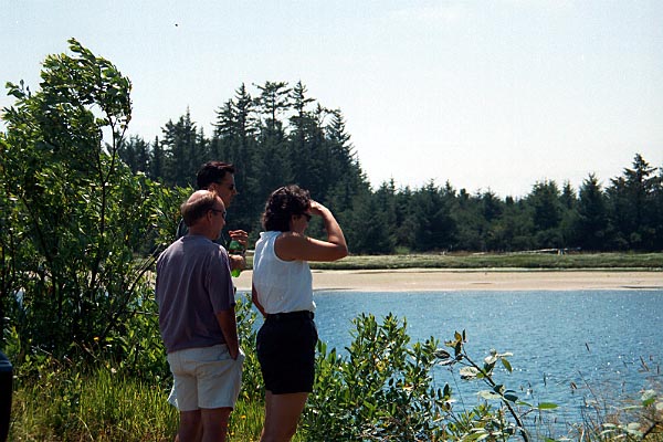 coast1.jpg