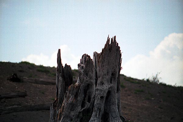 damage2.jpg