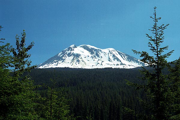 mtadams.jpg