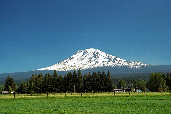 mtadams1.jpg