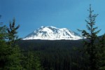 mtadams.jpg
