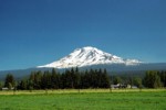 mtadams1.jpg