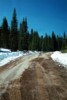 snow_tr.jpg