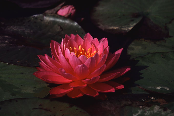 Untitled-110.jpg