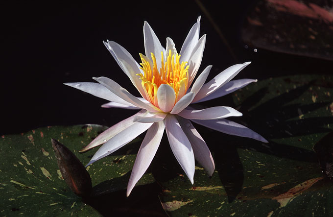 Untitled-116.jpg