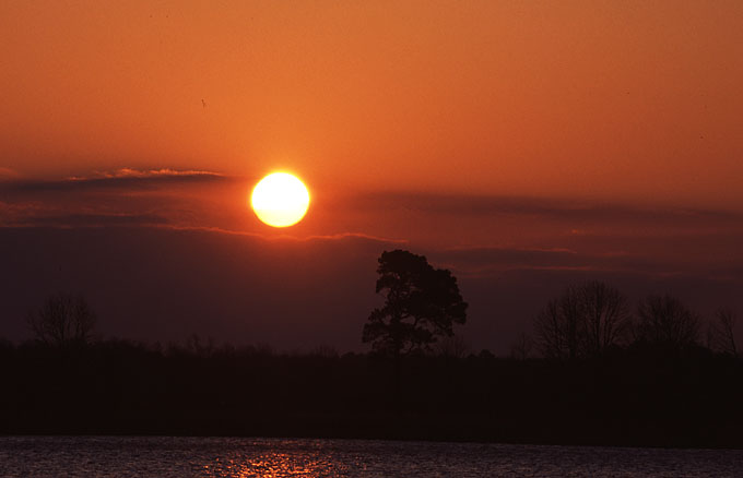 bwater07.jpg