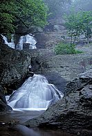 IMG0026.jpg