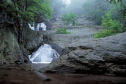 IMG0027.jpg