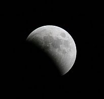 IMG_3630.jpg