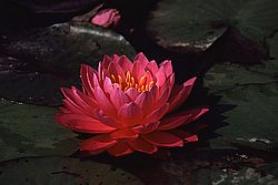 Untitled-110.jpg