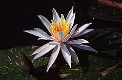 Untitled-116.jpg