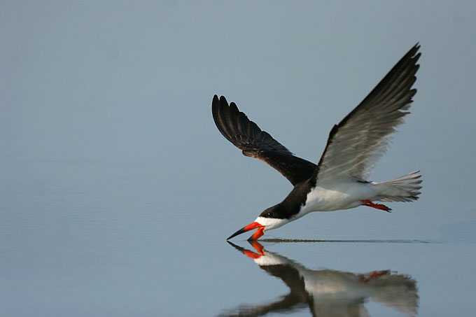 IMG_4470.jpg