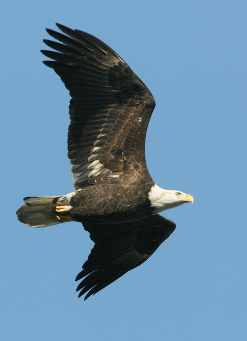JSOH7015.jpg