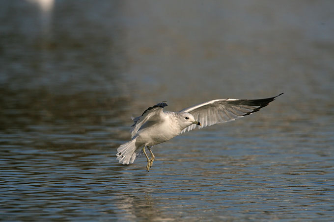 JSOH7294.jpg