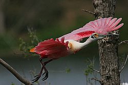 IMG_0588.jpg