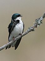 IMG_0590.JPG