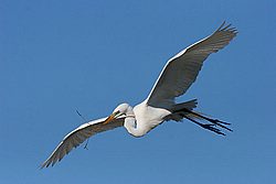 IMG_0869.jpg