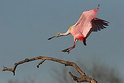 IMG_1078.jpg