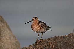 IMG_1971.JPG