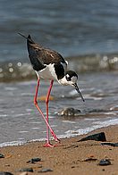 IMG_2879.jpg