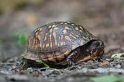 IMG_3219.jpg