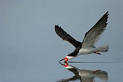 IMG_4470.jpg