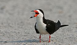 IMG_5630.jpg