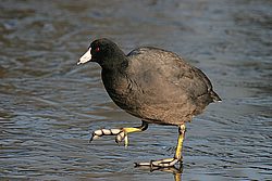 IMG_6787.jpg