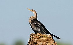 IMG_7041.jpg
