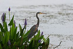 IMG_7460.jpg