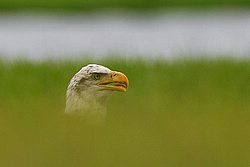 IMG_7485.jpg