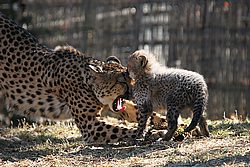 IMG_7724.JPG