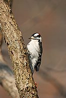 IMG_8176.JPG