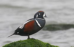 IMG_9415.jpg