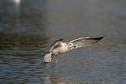 JSOH7294.jpg